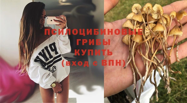 spice Карталы