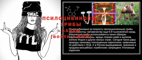 соль ск Карпинск