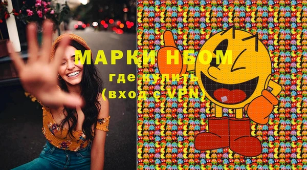 шишки Касимов