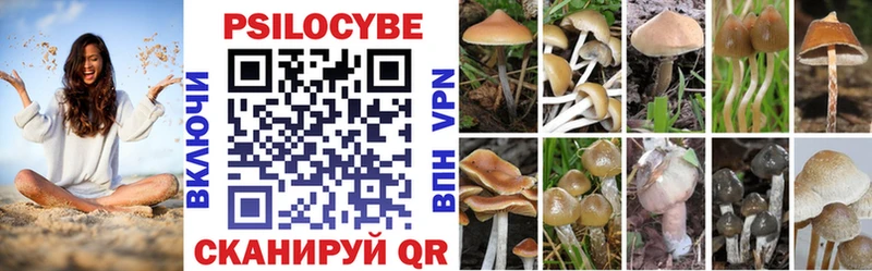 Купить где  Сафоново  Галлюциногенные грибы мухоморы 